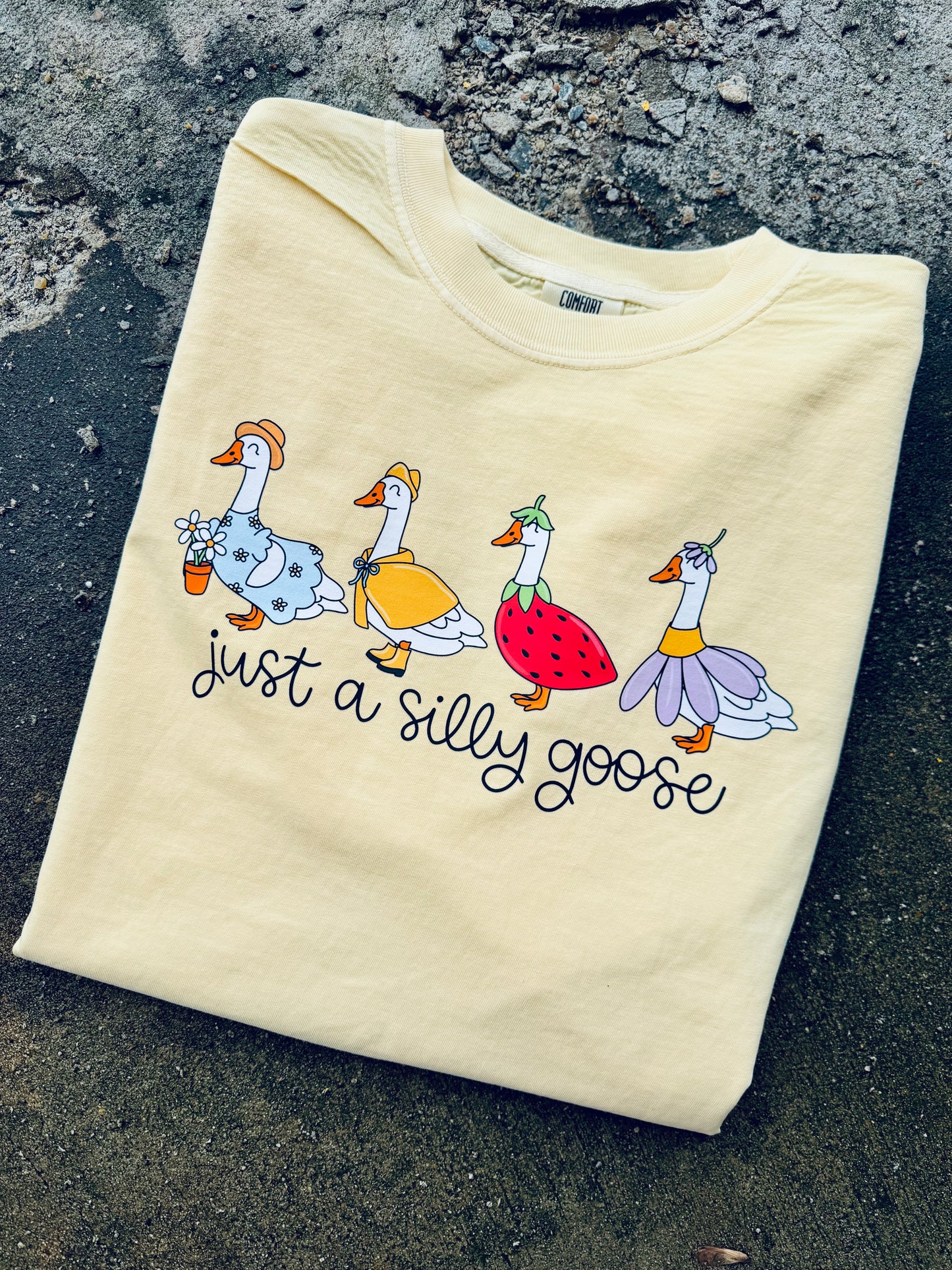 Silly Goose graphic tee