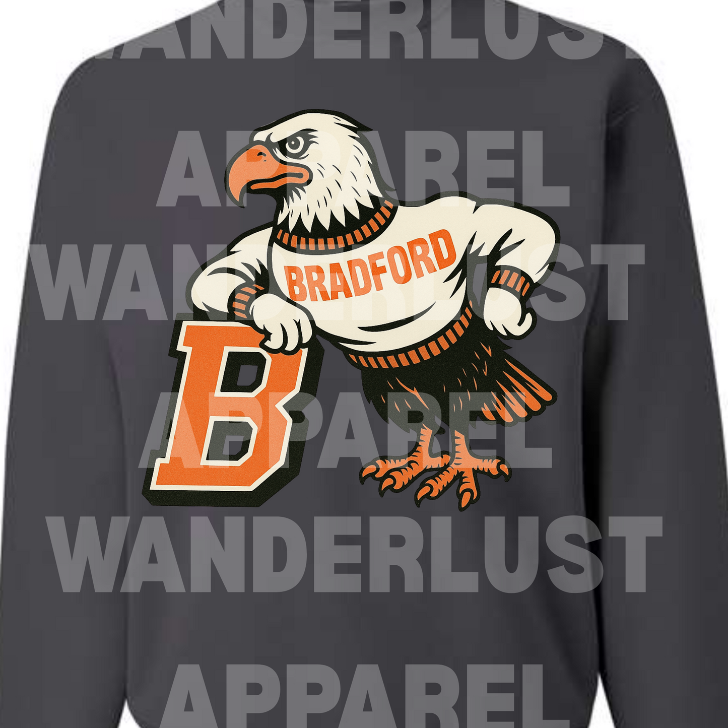 THROWBACK BRADFORD EAGLES VINTAGE CREWNECK