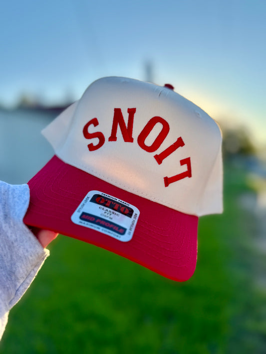 Upside down Lions Hat