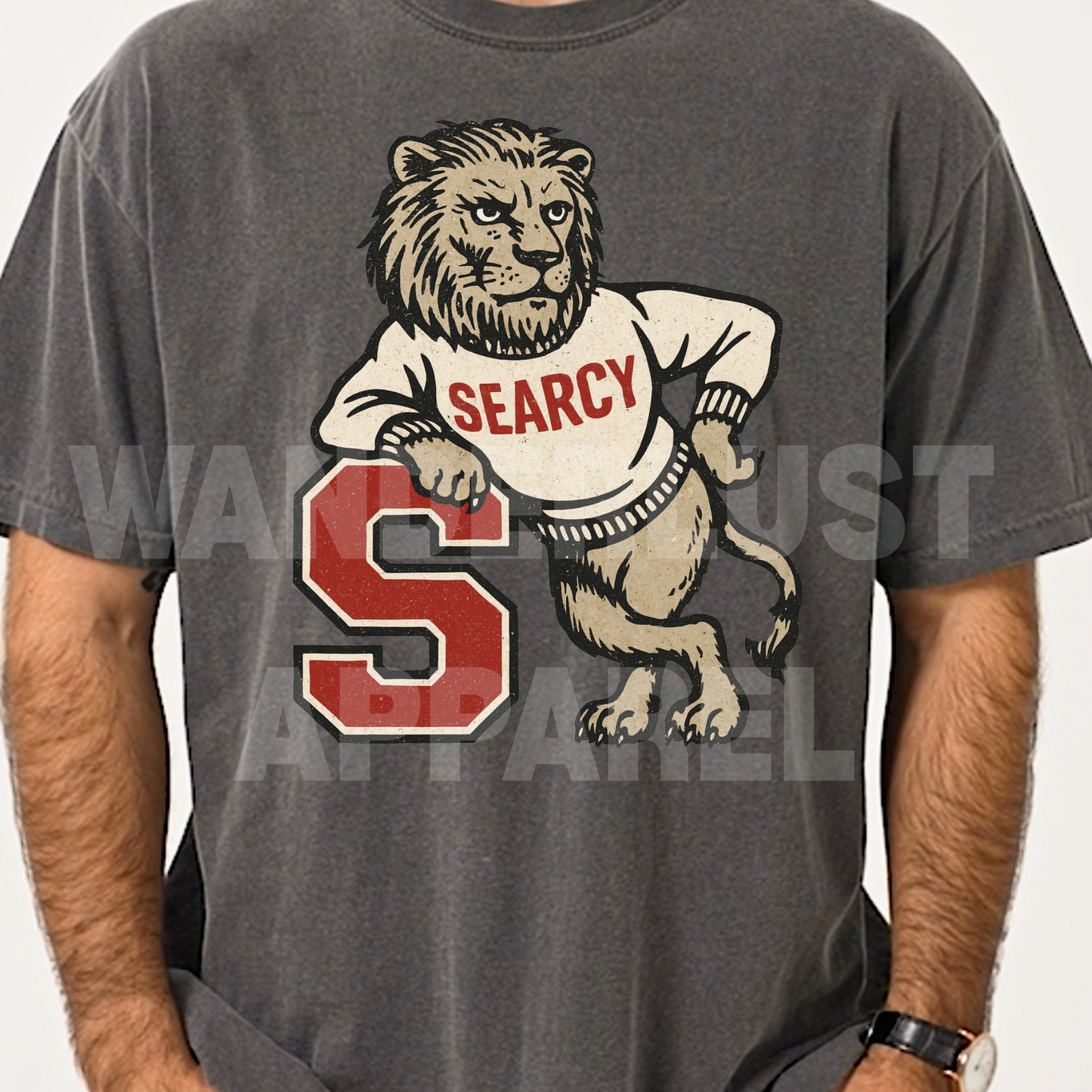 THROWBACK LIONS VINTAGE TEE