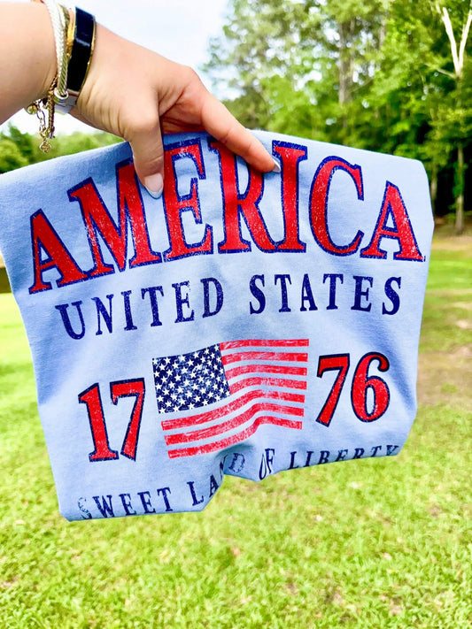 AMERICA 1776  HYDRANGEA