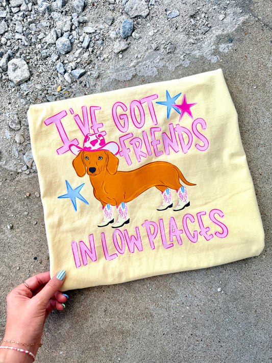 FRIENDS IN LOW PLACES GRAPHIC TEE | BUTTER
