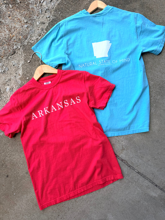 ARKANSAS STATE OF MIND GRAPHIC TEE | LAGOON & PAPRIKA |